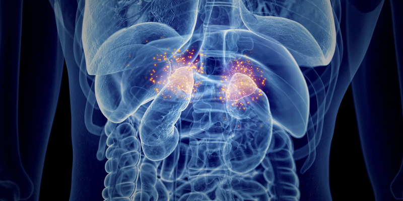 Image representing Adrenal and Pituitary Disorders